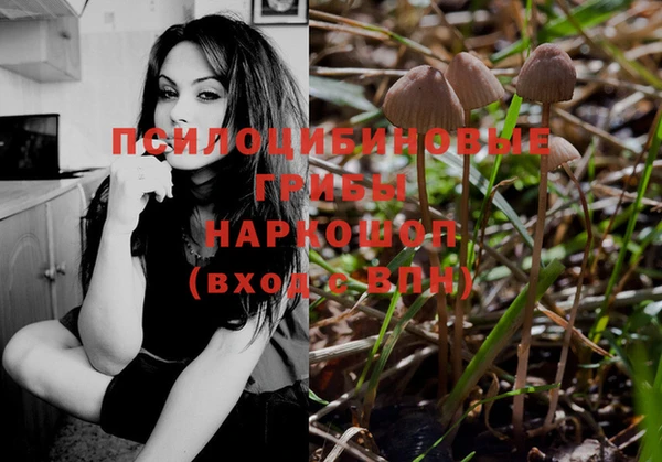 MDMA Premium VHQ Богородск