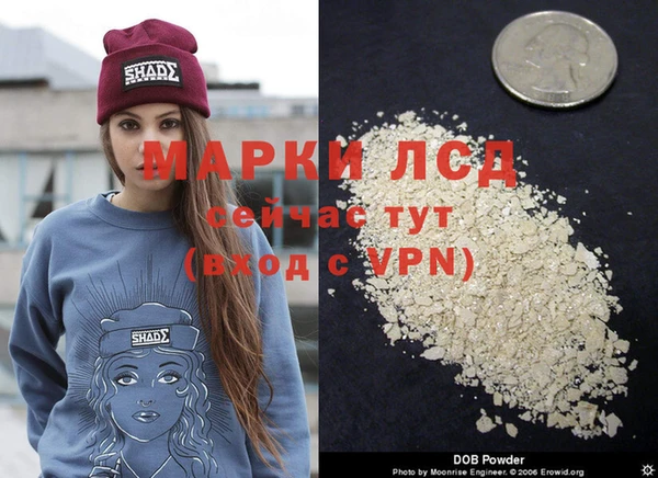 прущая мука Богородицк