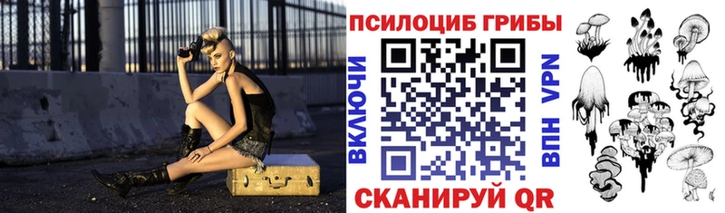 Купить где  Сураж  Псилоцибиновые грибы Psilocybine cubensis 