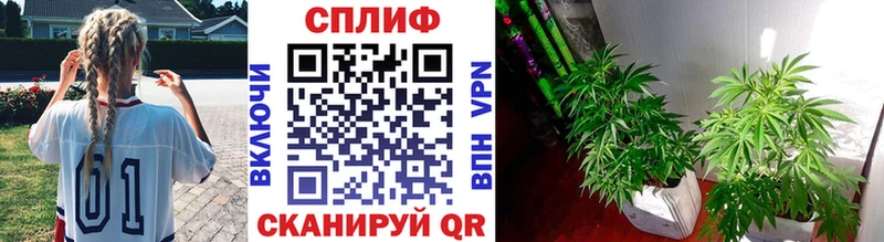 Купить закладки  Сураж  Канабис THC 21% 